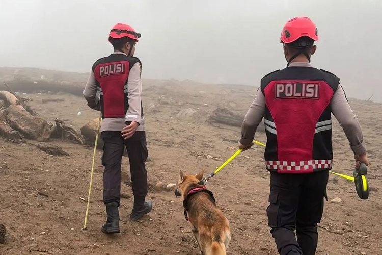 Hari Keempat Pencarian Korban Banjir Bandang Solok, Anjing Pelacak K9 Temukan Dompet dan Pakaian