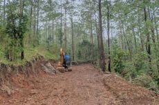 Hutan Lindung di Lereng Gunung Lawu Dirambah Pakai Alat Berat Dijadikan Jalan