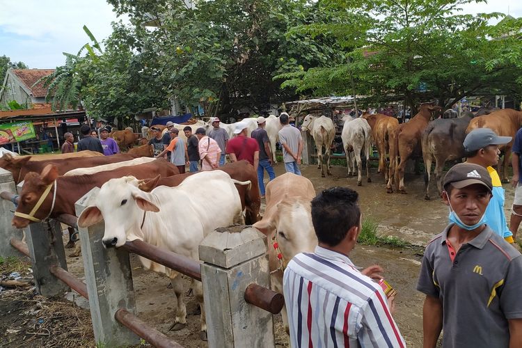 Suasana Pasar Hewan Sokaraja, Kabupaten Banyumas, Jawa Tengah, Sabtu (21/5/2022).