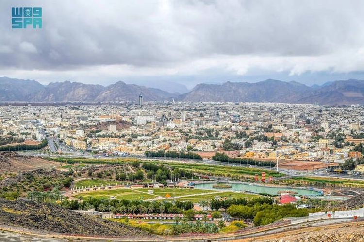 Gurun Arab Saudi Berubah Hijau Setelah Diguyur Hujan, Warga Ramai Menikmati