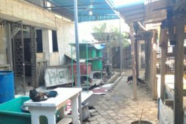 Rumah Margriet Jalan Sedap Malam nomor 26 Denpasar yang menjadi TKP pembunuhan Engeline. 