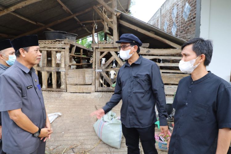 Wakil Bupati Garut bersama Kepala Dinas Perikanan Dan Peternakan Kabupaten Garut melakukan peninjauan kandang ternak sapi milik warga di Kecamatan Selaawi