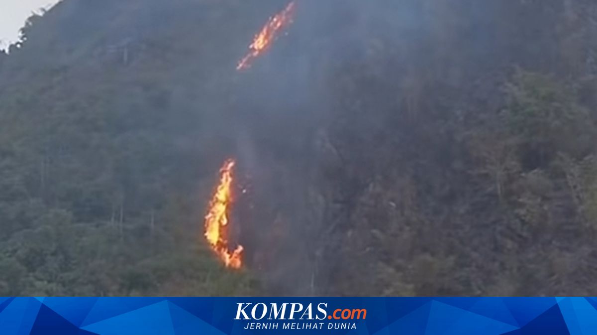 Kebakaran Lereng Gunung Singa Bandung, Jadi Pengingat Ancaman Karhutla saat Kemarau