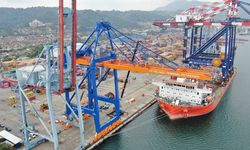 Pelindo Petikemas Setor Rp 1,73 Triliun ke Negara Sepanjang 2025