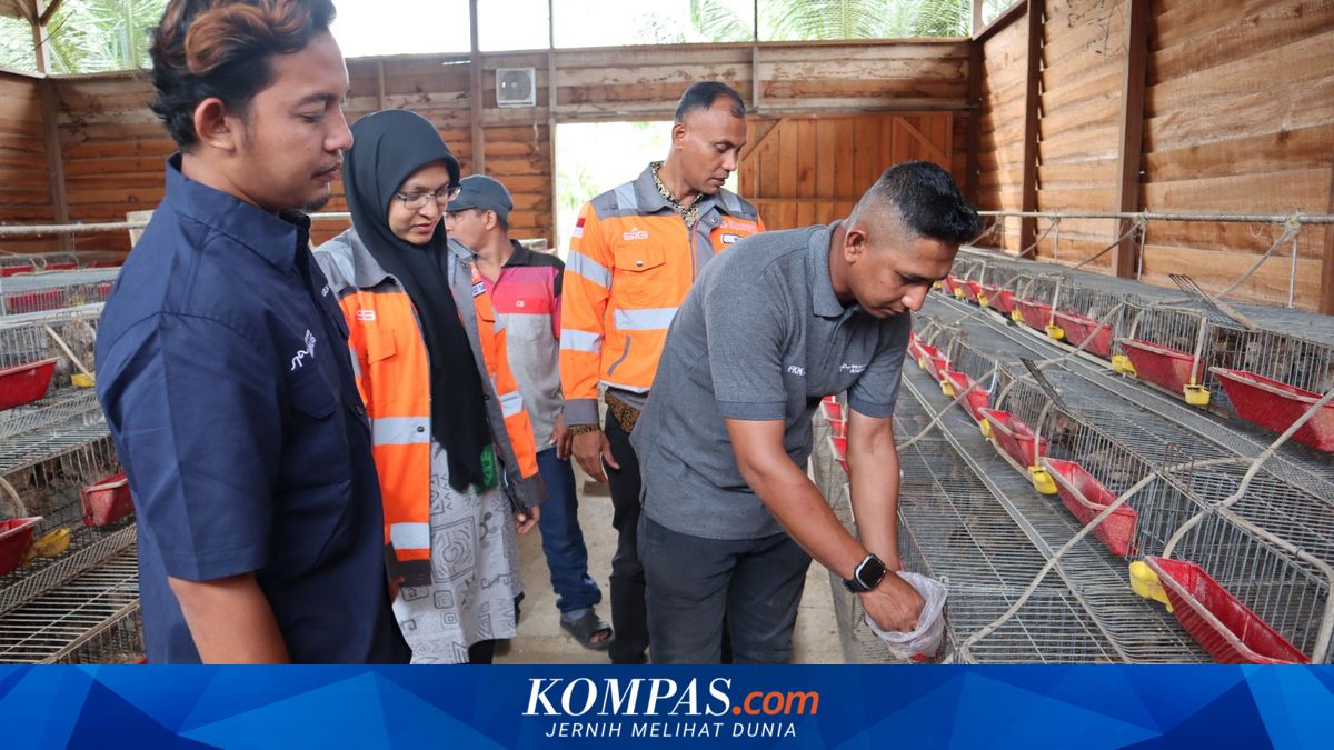 Olah Sampah Kelapa Jadi Pakan Unggas, Peternak di Aceh Hemat Biaya 60 Persen