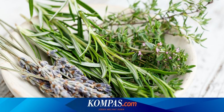 7 Tanaman Herbal yang Mampu Melawan Virus