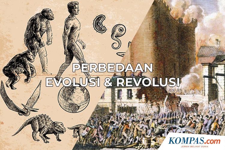 Perbedaan evolusi dan revolusi