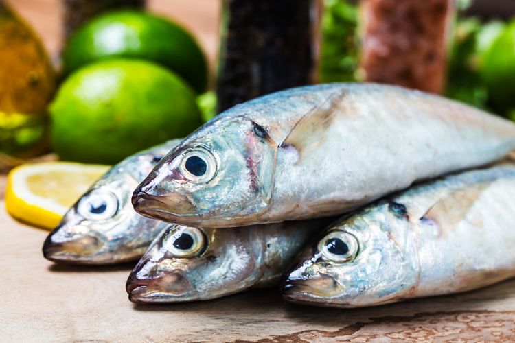 Menurut ilmuwan, manusia purba sudah mulai mengonsumsi ikan sejak 780.000 tahun yang lalu.