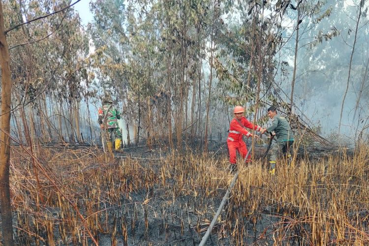 Petugas Manggala Agni Pekanbaru dan TNI berjibaku memadamkan api karhutla di Desa Tarai Bangun, Kecamatan Tambang, Kabupaten Kampar, Riau, Senin (28/8/2023).