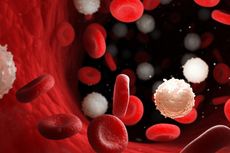 Penyebab, Gejala dan Deteksi Dini Leukimia, Kanker Darah yang Kerap Menyerang Anak-anak