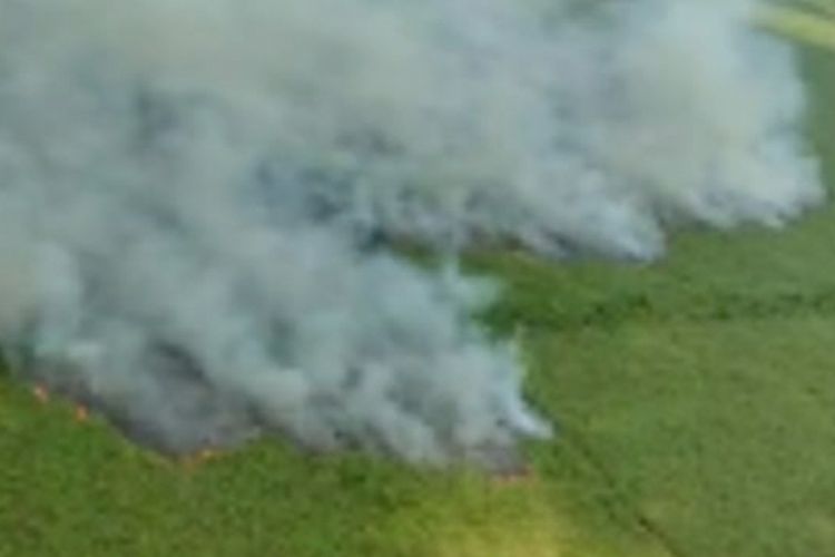 Kebakaran hutan dan lahan di wilayah Kota Dumai, Riau, terpantau dari udara sedang meluas, Selasa (23/2/2021) lalu.