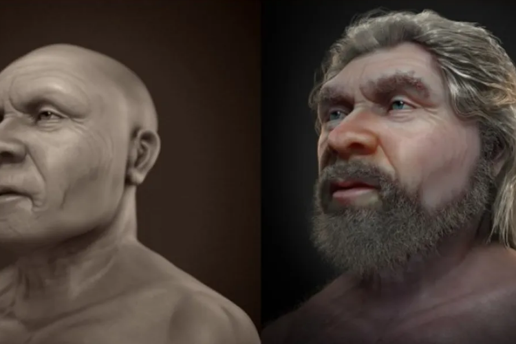Rekonstruksi wajah pria Neanderthal dewasa 