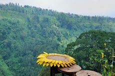 Spot Foto di Madakaripura Foret Park Probolinggo dan Tarifnya