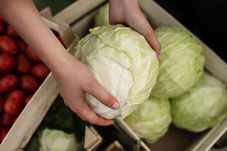 Konsumsi Sayur Kubis Bisa Cegah Penyakit Apa? Berikut 5 Daftarnya