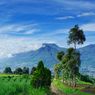Gunung Arjuno Terbakar, Jalur Pendakian Ditutup Sementara