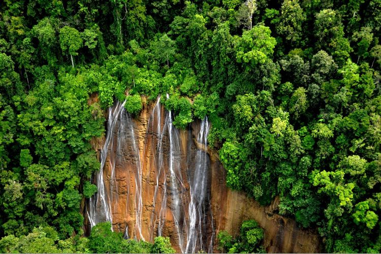 Foto air terjun yang berada didalam kawasan Taman Nasional Aketajawe Lolobata Blok Aketajawe di Provinsi Maluku Utara.