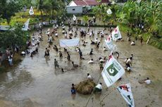 Relawan Ganjar-Mahfud di Lombok Timur Gelar Event Begasap, Keseruan Berburu Ikan di Sawah