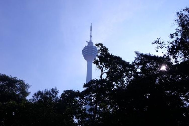 Menara Kuala Lumpur nampak dari kanopi KL Forest Eco Park.