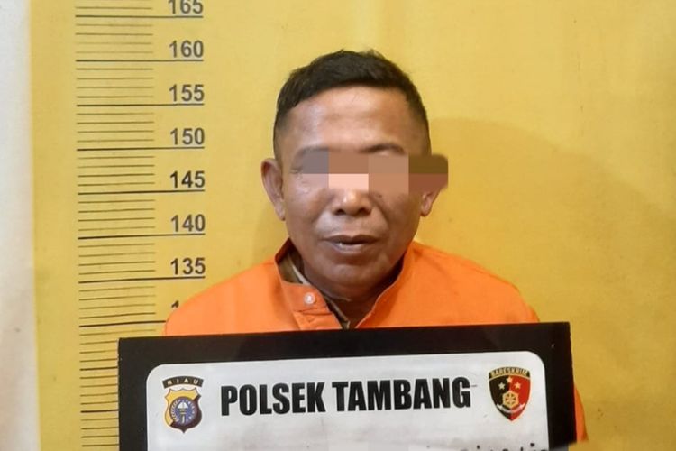 Pelaku penganiaya terhadap istri siri, DA (58) saat diamankan di Polsek Tambang di Kabupaten Kampar, Riau, Selasa (2/1/2024).