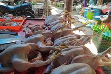 Meski Berangsur Turun, Harga Daging Ayam Masih Mahal