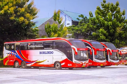 Bus Baru PO Sudiro Tungga Jaya, Pakai Bodi Evolander Bekas