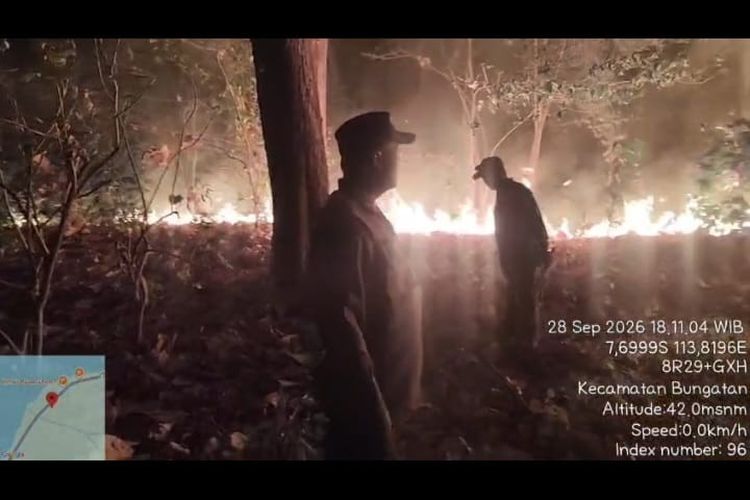 6 Hektare Hutan Jati di Situbondo Terbakar, Polisi Duga Ulah Manusia 