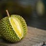 10 Jenis Durian yang Terkenal di Indonesia