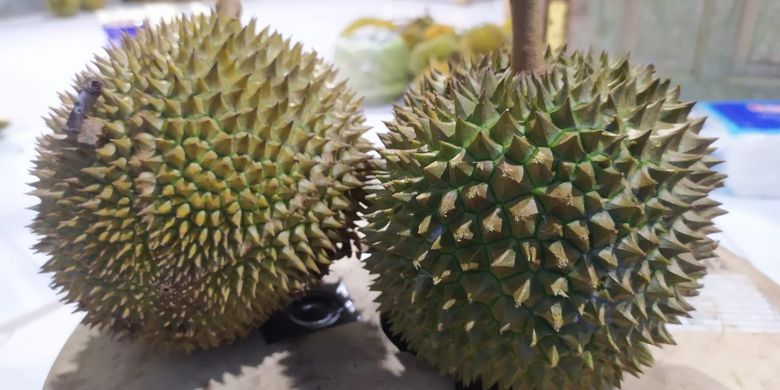 Sokoagung di Kecamatan Bagelen adalah salah satu sentra penghasil durian lokal berkualitas wahid di Kabupaten Purworejo. Durian tersebut dikenal dengan sebutan durian pithi.