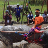 Mengenal Permainan Mpa'a Sila dan Barapan Kebo, Nusa Tenggara Barat 