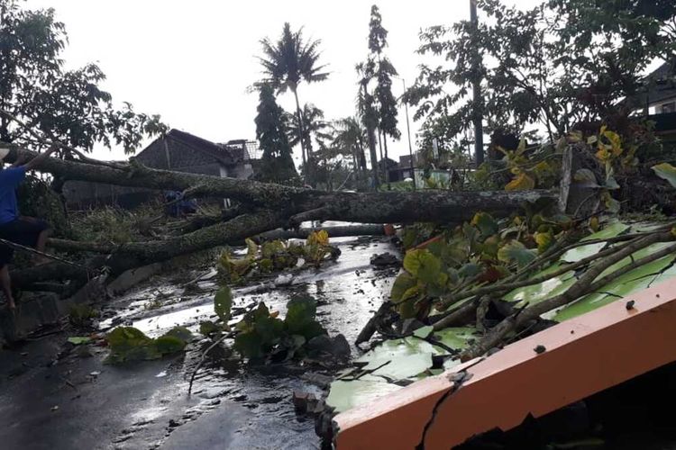 Pohon tumbang akibat hujan deras dan angin kencang menimpa sebuah bangunan SD di Desa Ketunggeng, Kecamatan Dukun, Kabupaten Magelang, Selasa (2/3/2021).