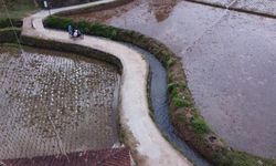 Antisipasi Kemarau Panjang Akibat El Nino, Kementan Siapkan Berbagai Strategi, dari RJIT hingga AUTP