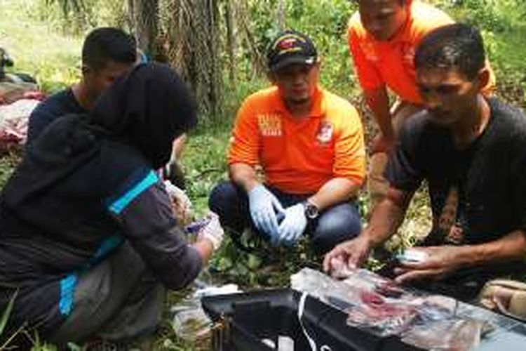 Tim Polres Aceh Timur dan BKSDA Aceh sedang meneliti penyebab kematian gajah di Aceh Timur, Selasa (18/4/2016)