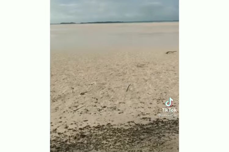 Tangkapan layar video yang diunggah di TikTok yang memperlihatkan fenomena air laut surut