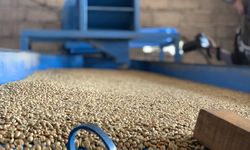 Hari Kopi Sedunia, Kopi Kenangan Targetkan Pertanian Berkelanjutan di Bali