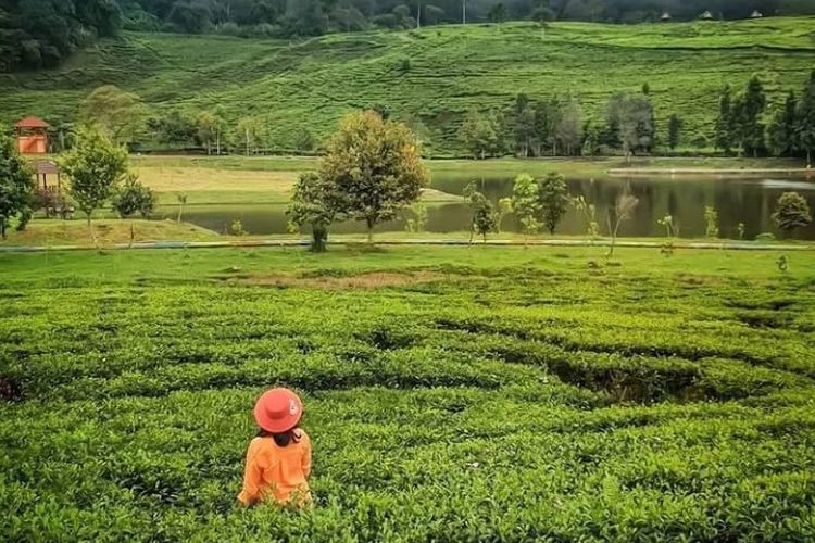 Tempat wisata Telaga Saat Puncak di Kecamatan Cisarua, Bogor, Jawa Barat.