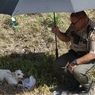 Kisah Polisi Selamatkan Anjing yang Tergeletak di Pinggir Jalan