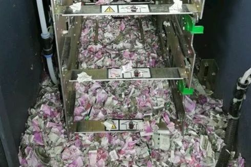 Tikus di India Gerogoti Uang Rp 250 Juta dalam Mesin ATM