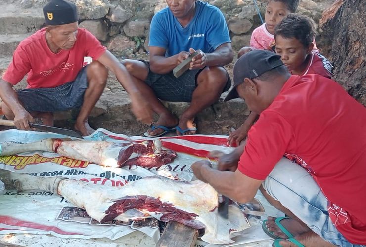 Curhat Korban Bencana Aceh: Senang Dapat Hewan Kurban, Sedih Ekonomi Belum Pulih