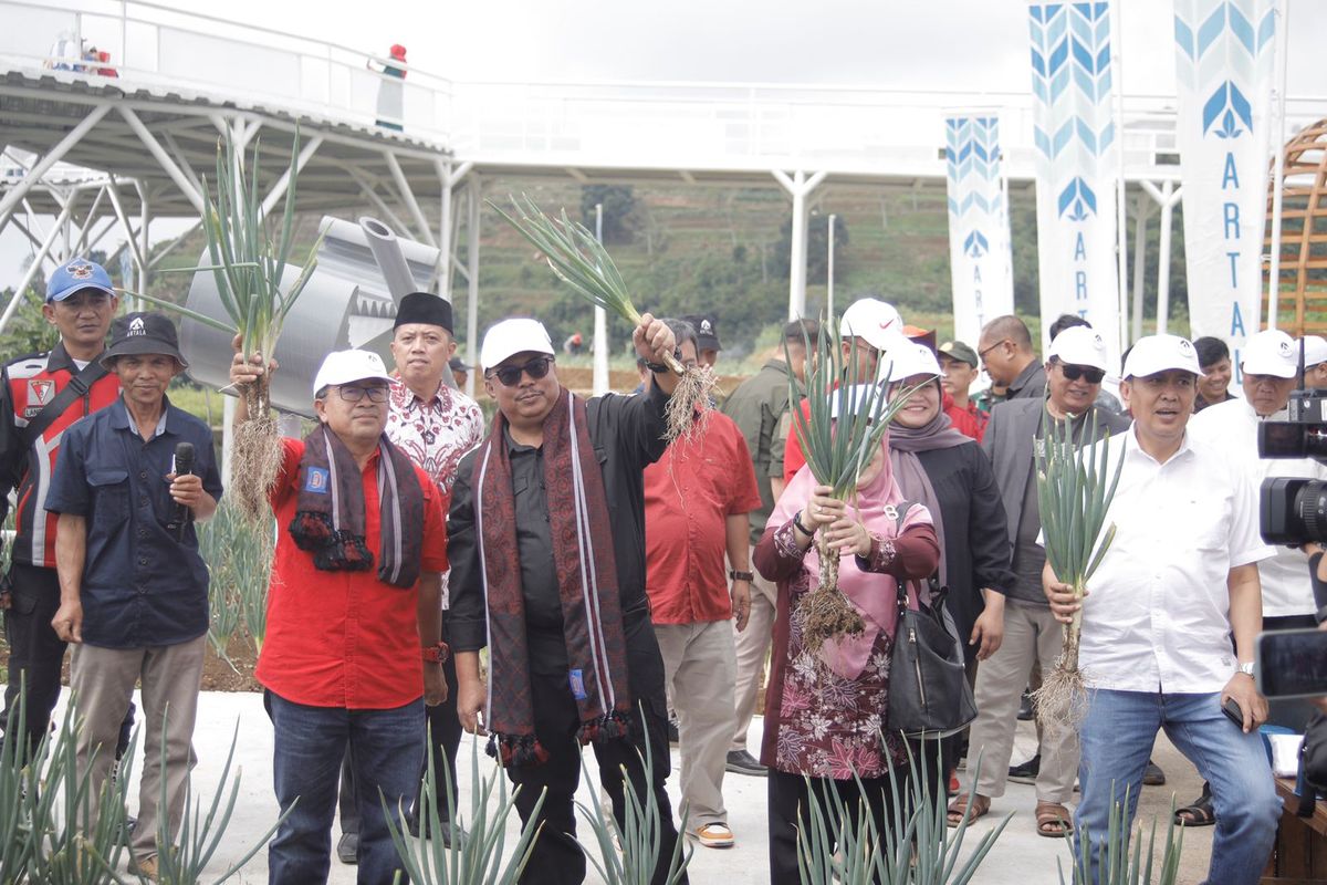 Panen daun bawang di Agro Eduwisata Arthala Cianjur oleh Bupati dan Sesditjen PSP Kementan.