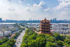 WHO Kirim Tim Peneliti ke Wuhan untuk Selidiki Asal Mula Virus Corona