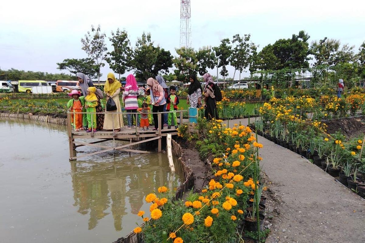 Desa Wisata di Kabupaten Lamongan - Wisata Besur Agro Edukasi, Desa Besur, Kecamatan Sekaran, Kabupaten Lamongan.