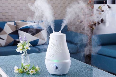 10 Cara Melembabkan Udara di Dalam Rumah Tanpa Humidifier