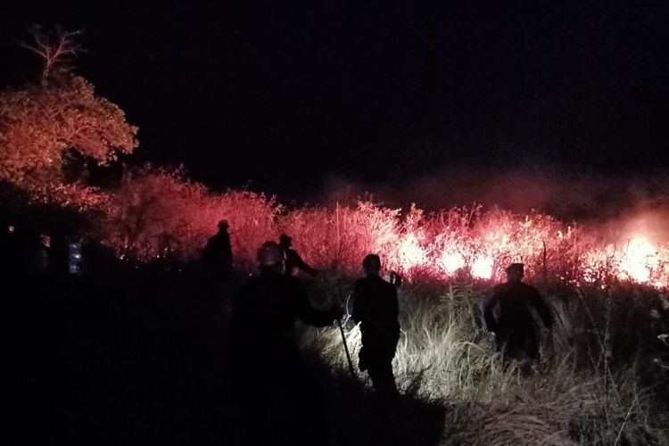 Petugas Satgas Karhutla KLU dan Satgas Karhutla NTB memadamkan api yang membakar lahan di Pandanan, Lombok Utara.