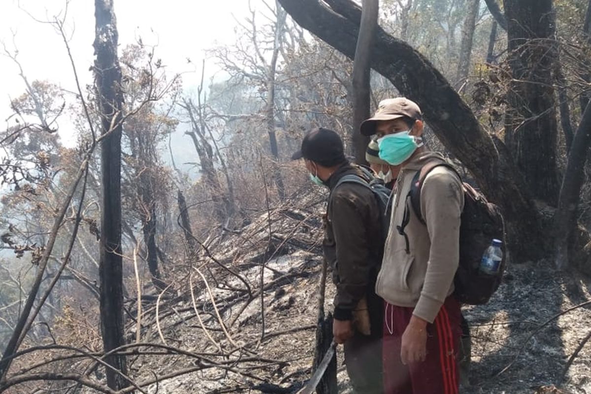 Bekas area kebakaran di lereng Gunung Slamet, perbatasan Kabupaten Brebes dan Banyumas, Jawa Tengah, Jumat (20/9/2019).