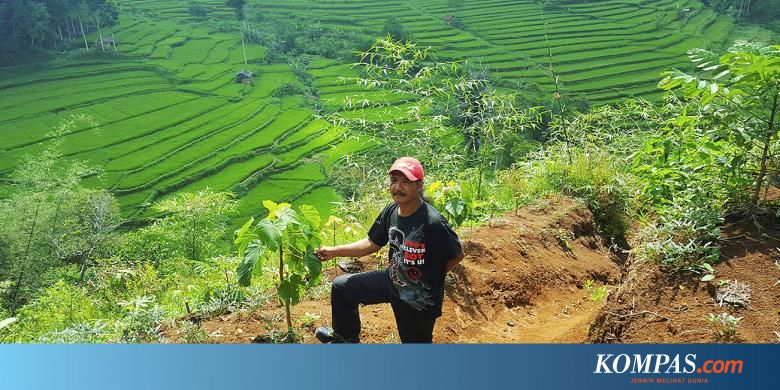 Geliat Penghijauan Di Hulu Sungai Citanduy Halaman 2 Kompas Com