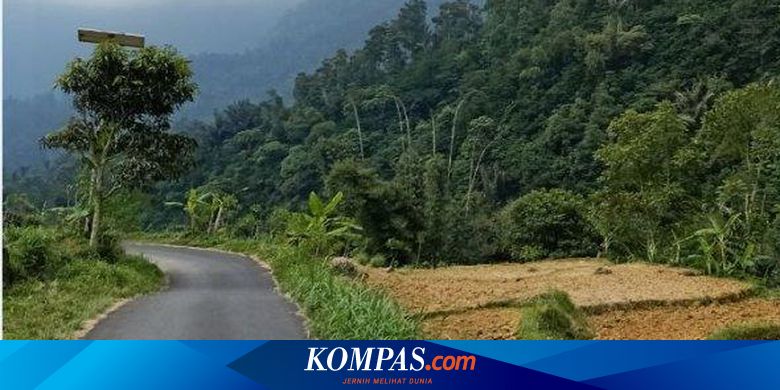 Cara Berkendara Aman di Jalan Tanpa Marka