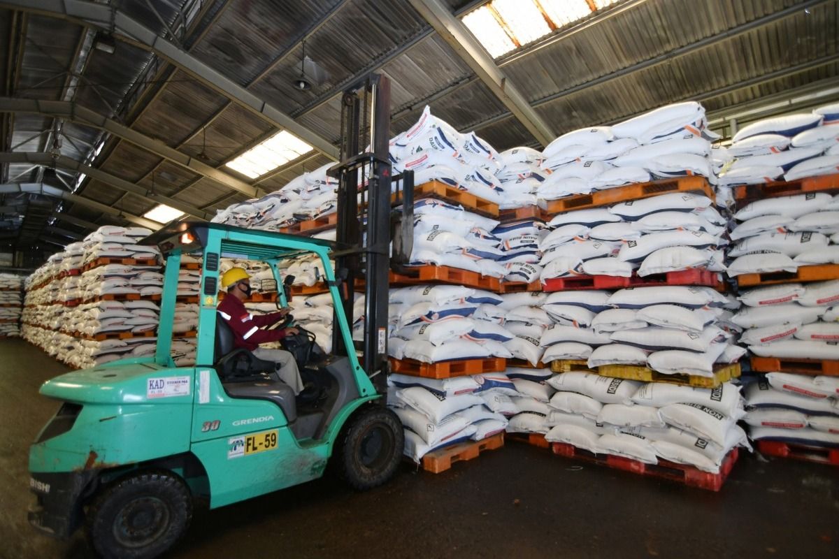 Penyaluran pupuk bersubsidi di Provinsi Gorontalo dipastikan aman oleh PT Pupuk Kaltim, sebanyak 1.309 ton pupuk urea bersubsidi disalurakn ke sejumlah kabupaten di provinsi ini.