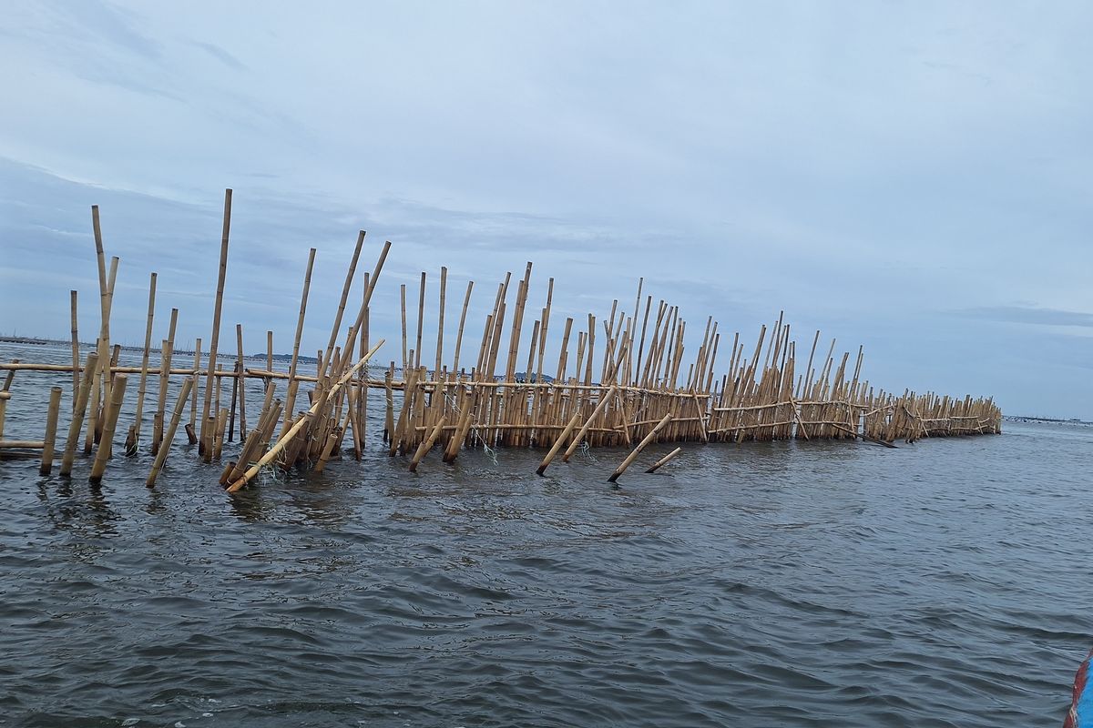 Pagar Laut di Pulau C Jakut Dibangun Terang-terangan pada Siang Hari