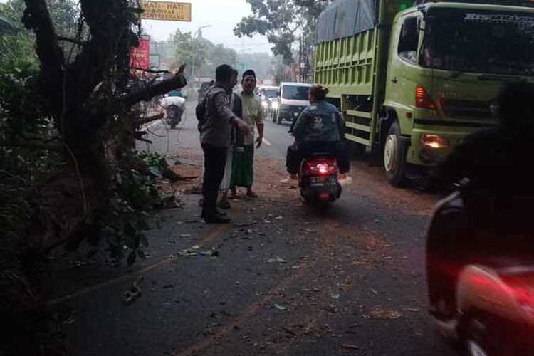 Pemotor Tewas Tertimpa Pohon Tumbang Dekat Banten International Stadium, Korban Baru Pulang Kerja 