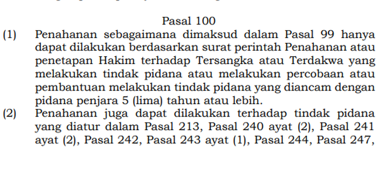  Tangkapan layar dokumen RUU KUHAP 18 November 2025 Pasal 100